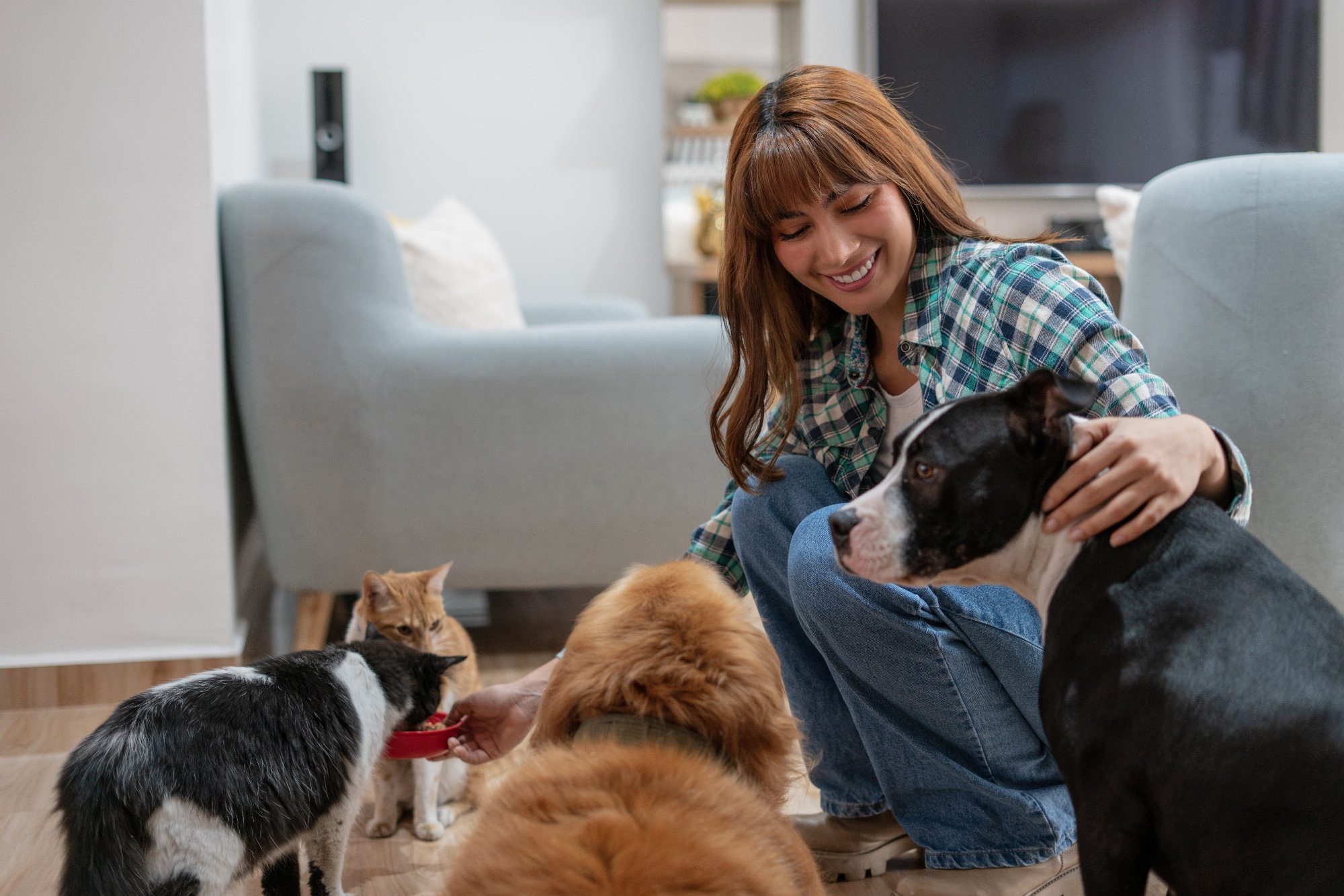 Latina woman between the ages of 25-35 is feeding pet sitting at home. Pet sitter
